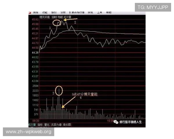 博天娱乐行业竞争优势与市场份额分析助力投资者评估企业发展潜力